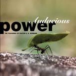 Audacious Power - MP3 Download